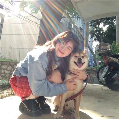 圣龙奇兵大冒险